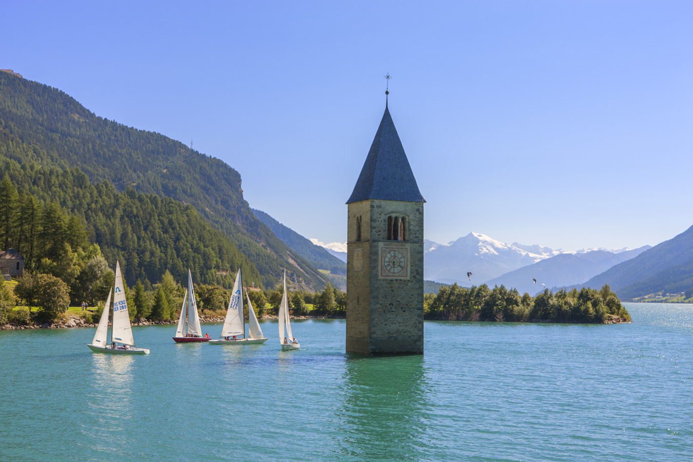 Kirchtum von Alt-Graun im Wasser des Reschensee - Urlaub im Vinschgau