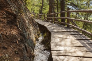 Roggia in Val Venosta - ©Vinschgau Marketing – F. Blickle