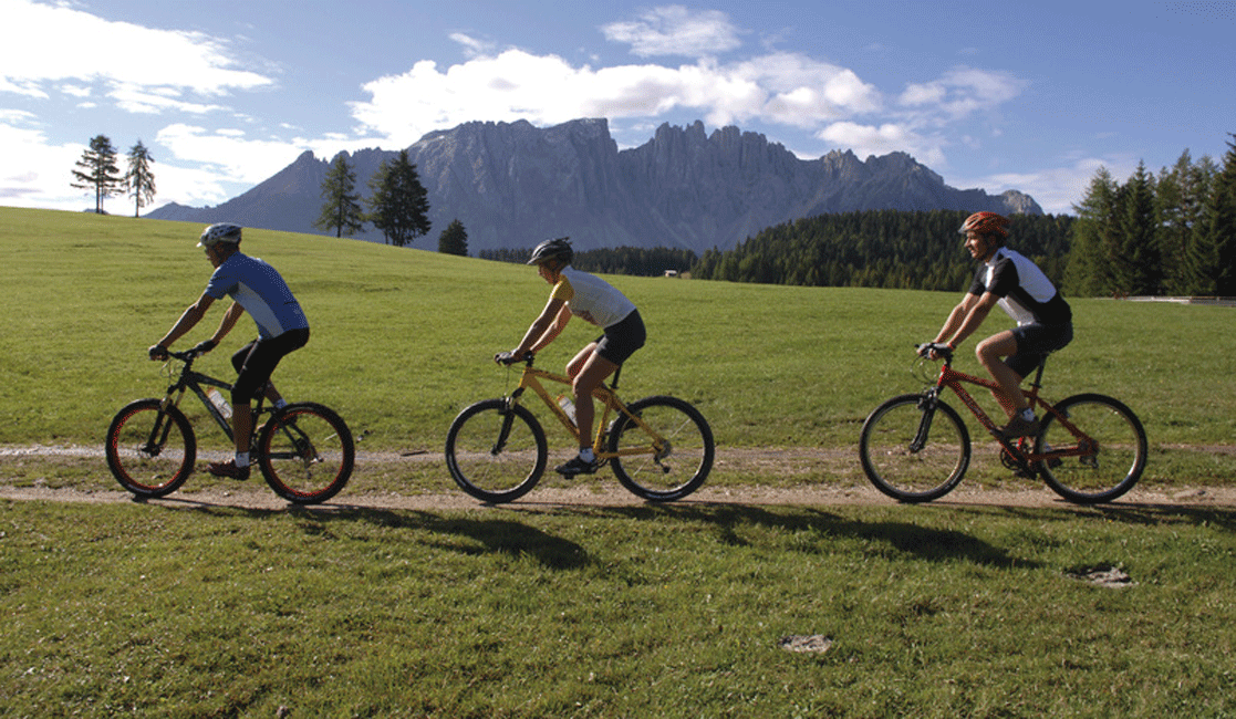 Mountainbike_Alm_Malga_1